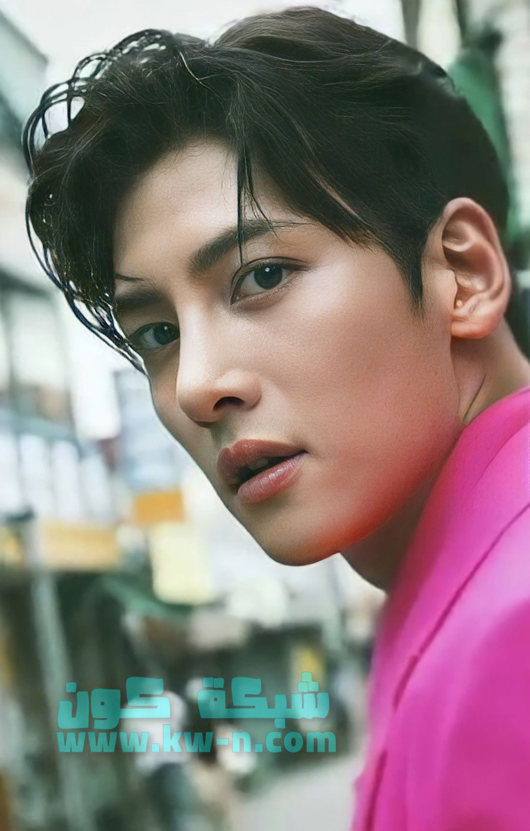 Ji Chang Wook 지창욱 (18)