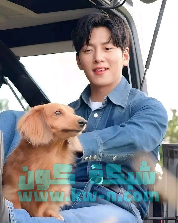 Ji Chang Wook 지창욱 (33)