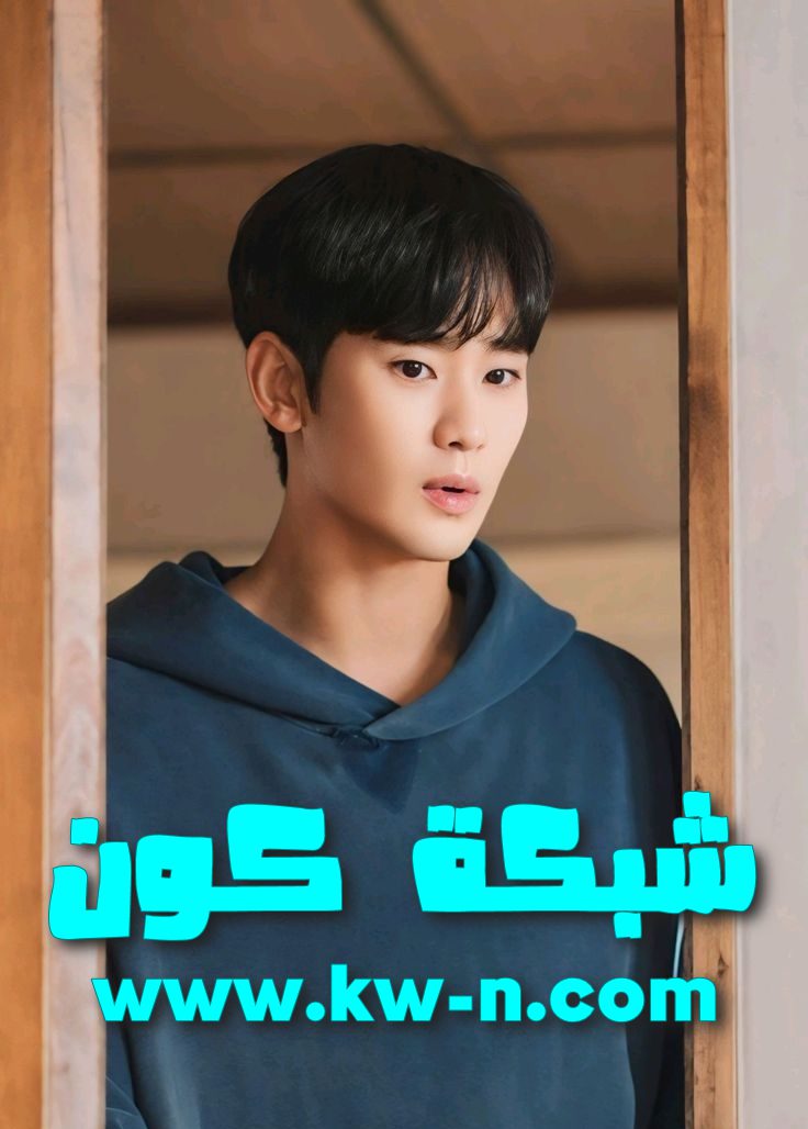 كيم سو هيون: بطل أفلام أكشن مثير — شبكة كون